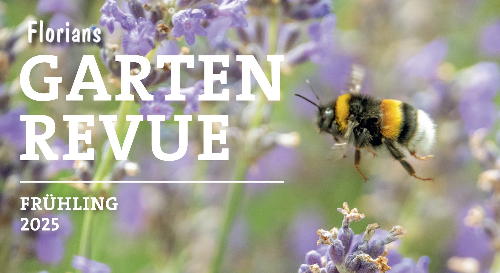 Gartenrevue Frühling 2025.jpg
